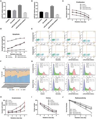 MicroRNA-221/222 Inhibits the Radiation-Induced Invasiveness and Promotes the Radiosensitivity of Malignant Meningioma Cells